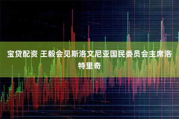 宝贷配资 王毅会见斯洛文尼亚国民委员会主席洛特里奇