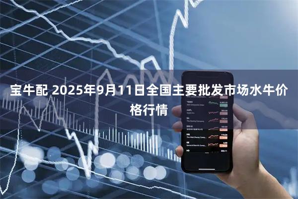 宝牛配 2025年9月11日全国主要批发市场水牛价格行情