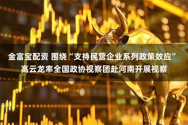 金富宝配资 围绕“支持民营企业系列政策效应” 高云龙率全国政协视察团赴河南开展视察