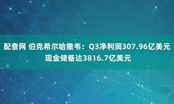 配查网 伯克希尔哈撒韦：Q3净利润307.96亿美元 现金储备达3816.7亿美元